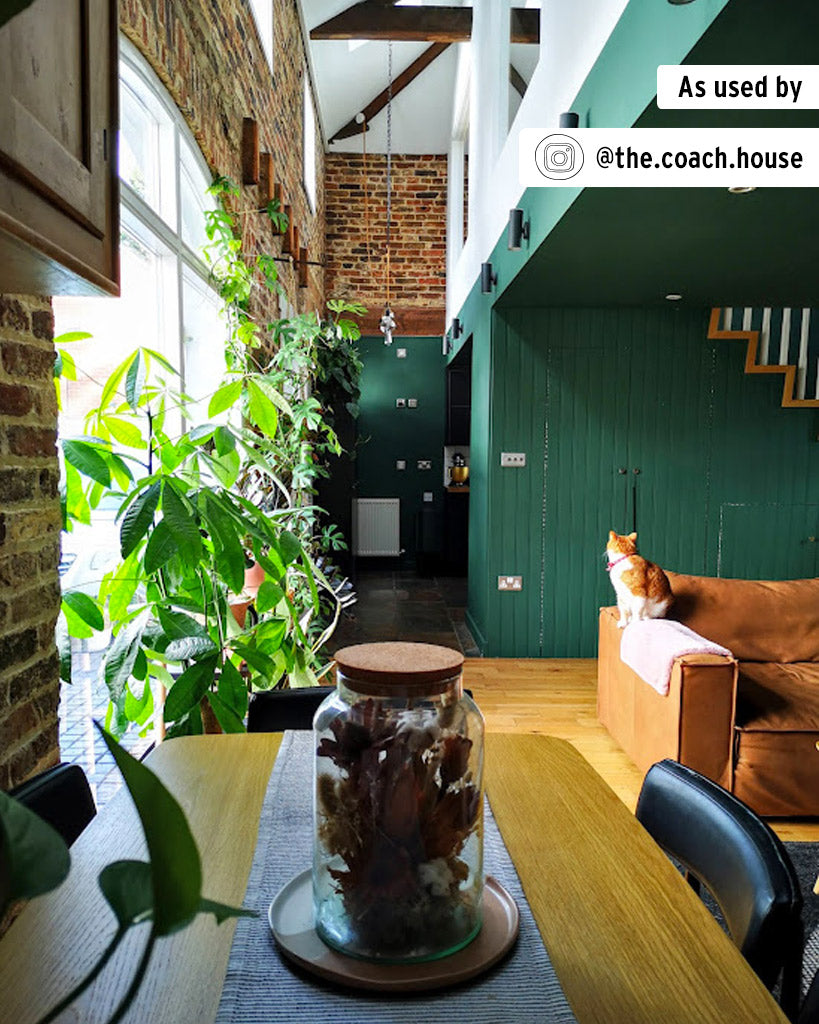 AMSTERDAM GREEN - ANNIE SLOAN CHALK PAINT