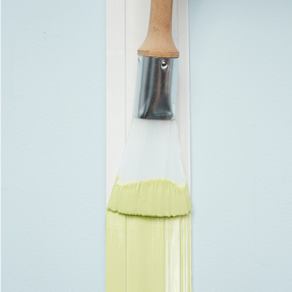 FAN BRUSH - ZIBRA BRUSHES- 1" FAN