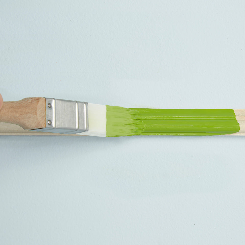 SQUARE BRUSH - ZIBRA BRUSHES - 1"SQUARE