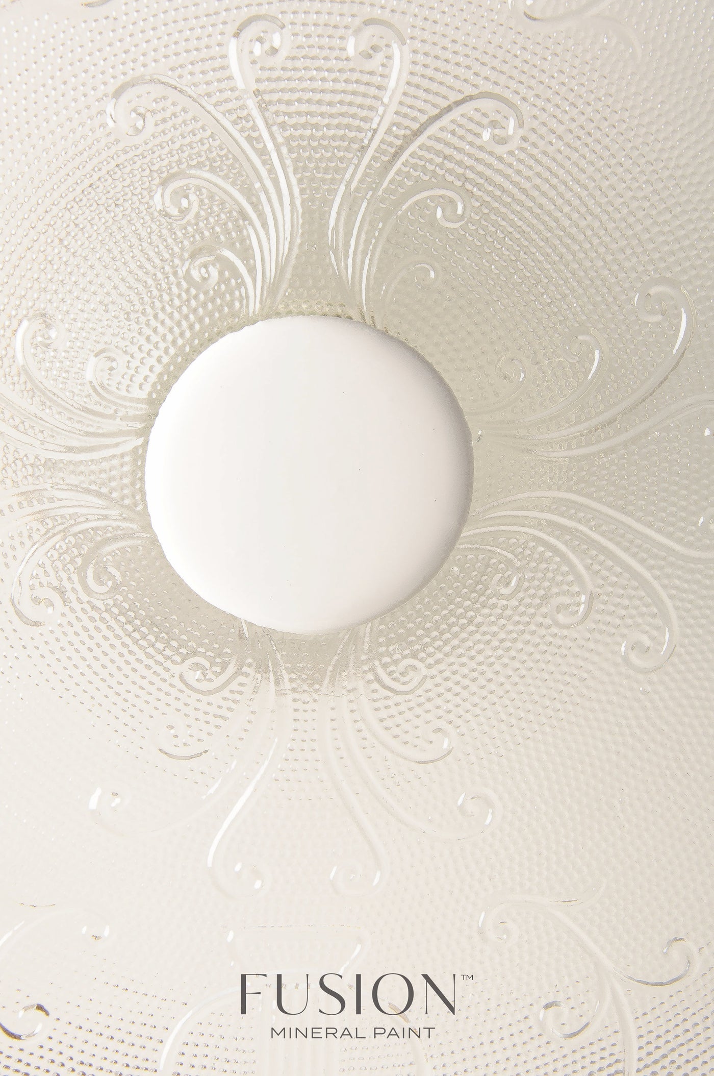 CHAMPLAIN - FUSION MINERAL PAINT