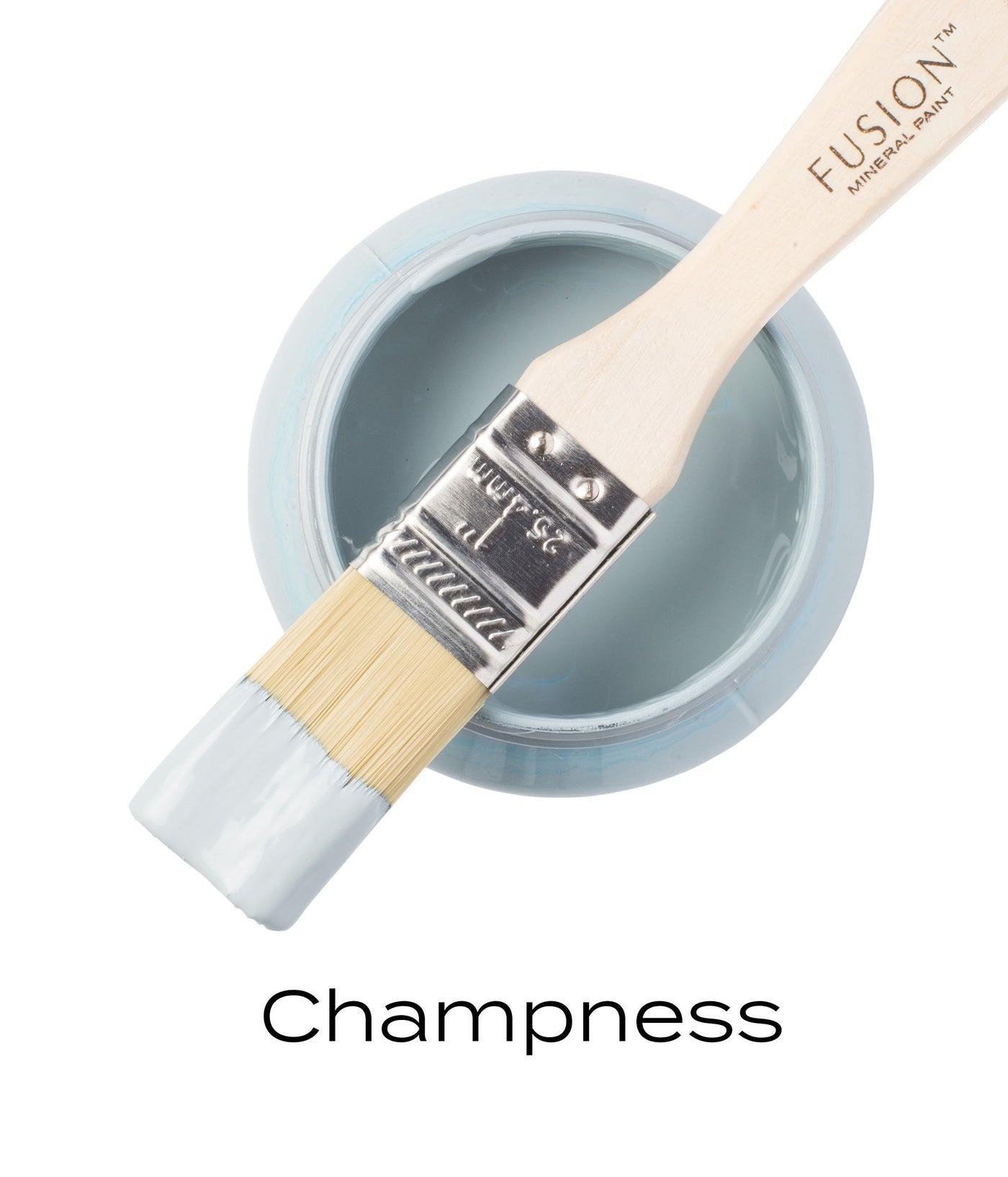 CHAMPNESS - FUSION MINERAL PAINT