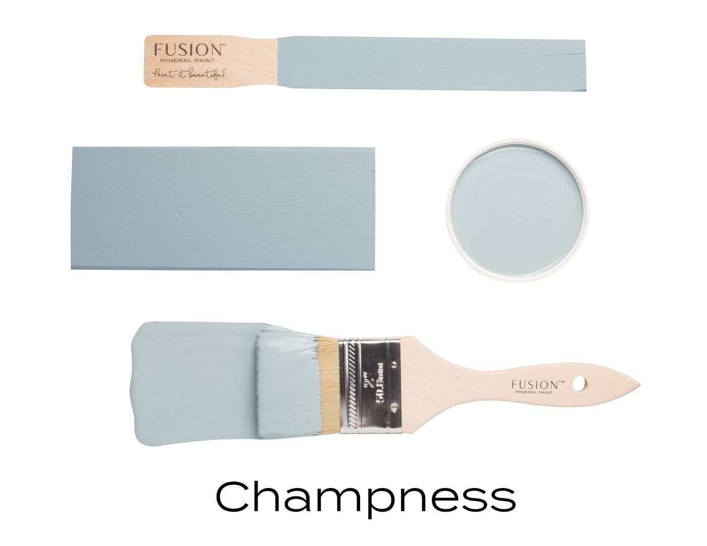 CHAMPNESS - FUSION MINERAL PAINT
