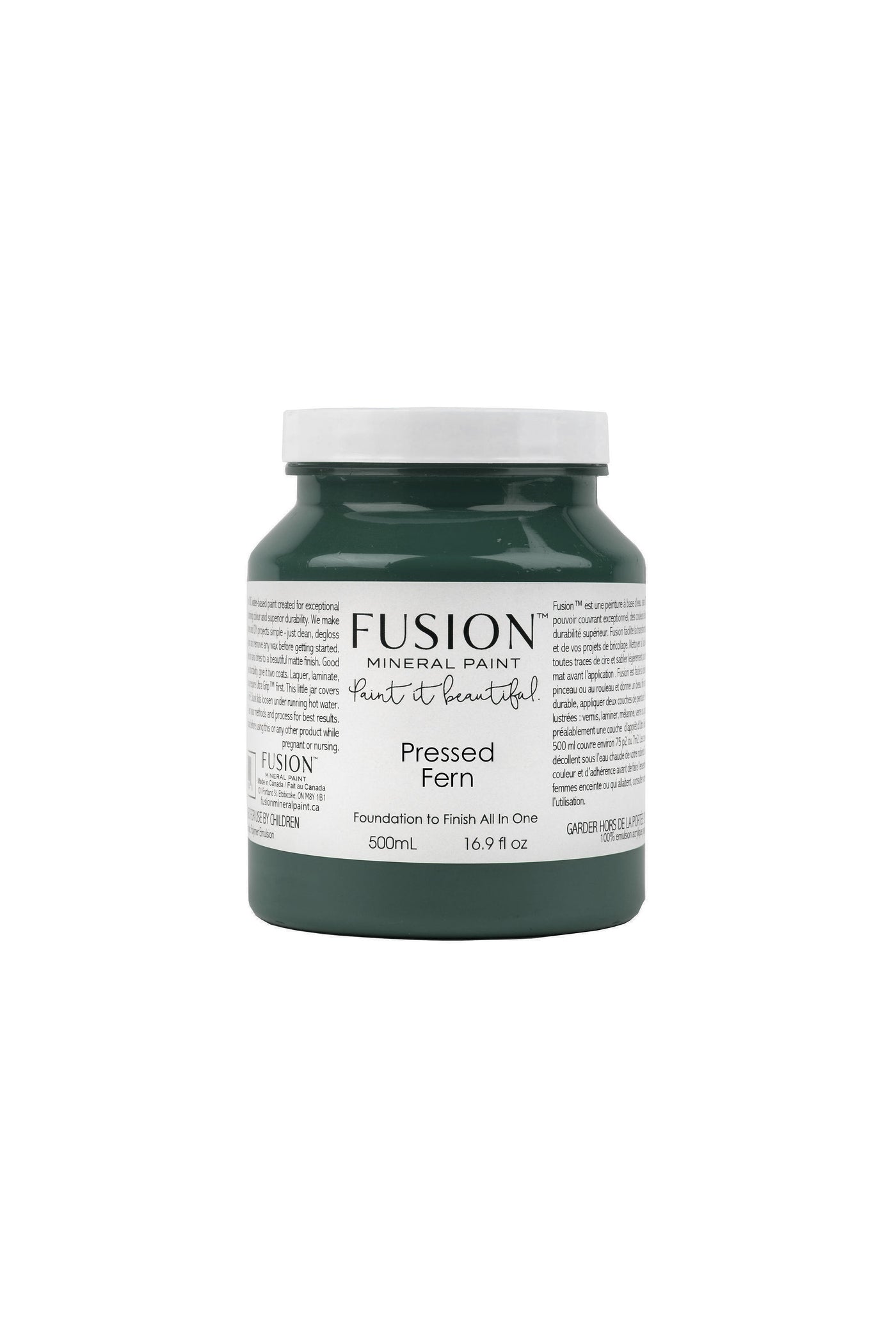 PRESSED FERN - FUSION MINERAL PAINT