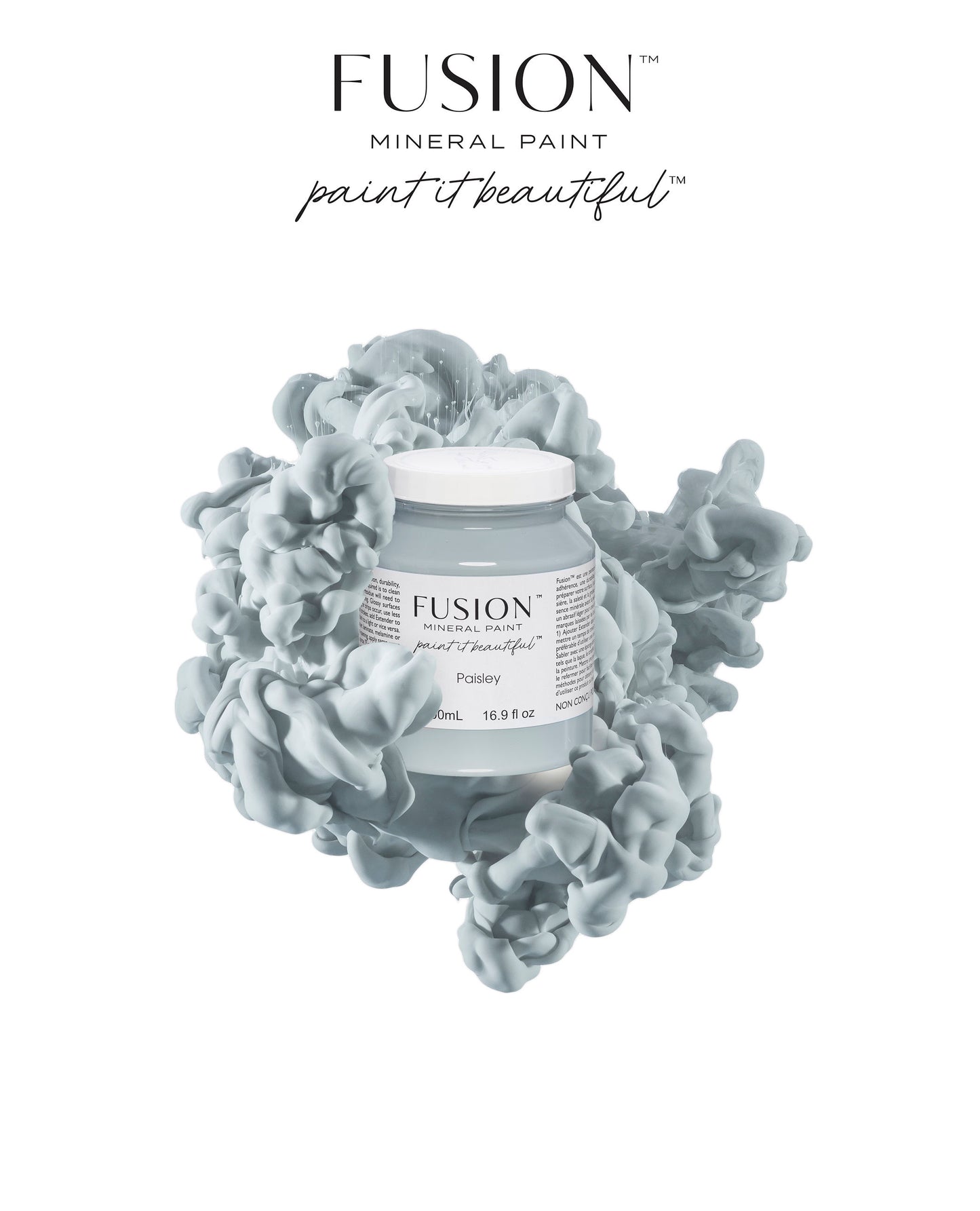 PAISLEY - FUSION MINERAL PAINT