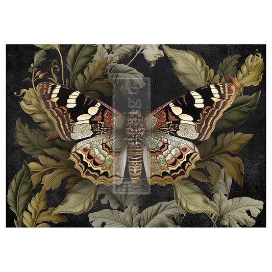 BUTTERFLY  CONSERVATORY TALES - A1 DECOUPAGE FIBRE - 1 sheet, 23.4″x33.1″
