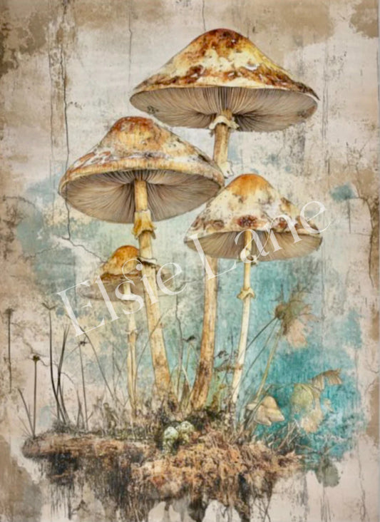 CAPPUCCINO CAPS - ELSIE LANE DECOUPAGE TISSUE PAPER - 18LB - 21" BY 29"