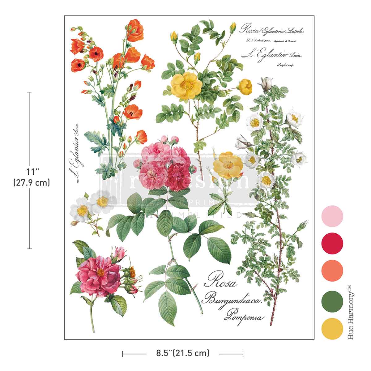 POETRY IN PETALS - H2O Transfers Single Sheet  – 1 sheet, 8.5″x11″
