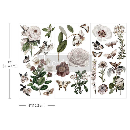 SECRET GARDEN - Small Transfers - 3 sheets, 6″x12″