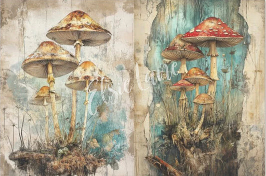 THE SECRET LIFE OF MUSHROOMS - ELSIE LANE DECOUPAGE TISSUE PAPER - 29" BY 21"