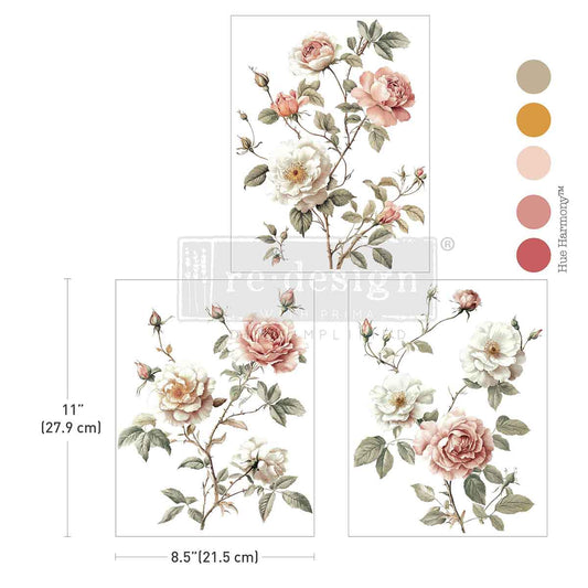 CREAMY BLUSH BLOOMS -  MIDDY TRANSFERS ® -  3 sheets, 8.5″x11″