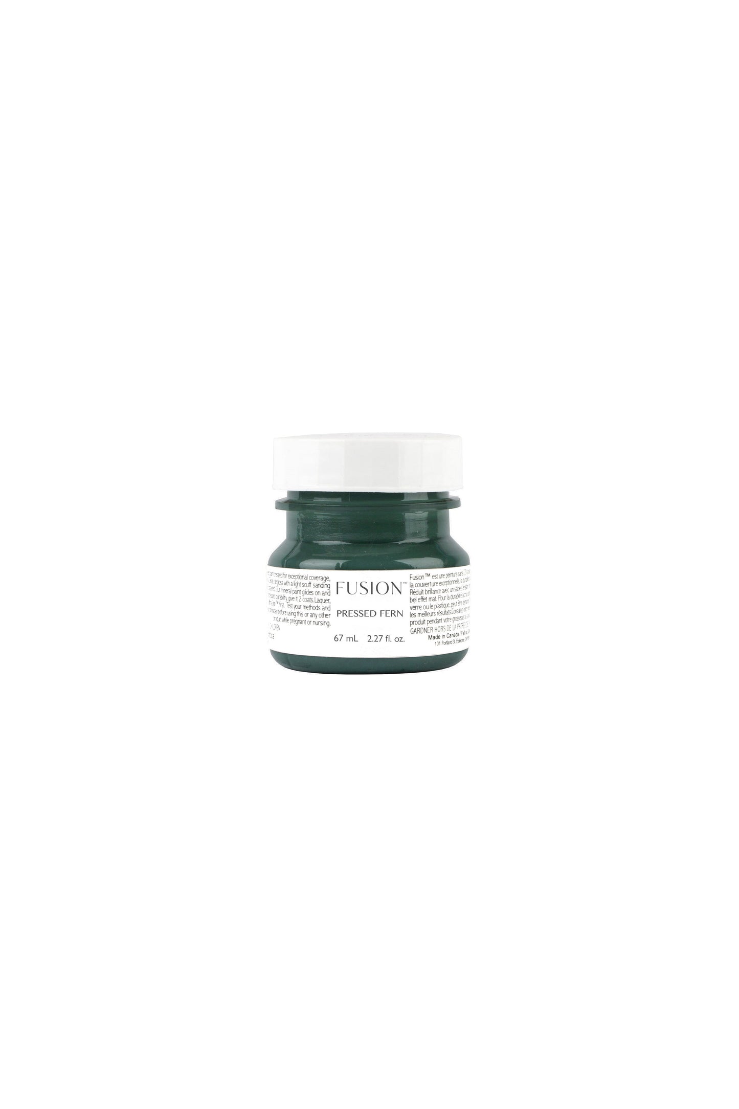 PRESSED FERN - FUSION MINERAL PAINT
