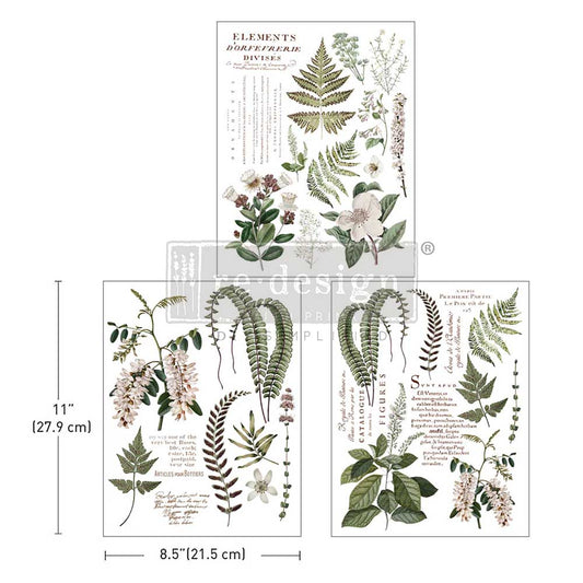 GREENERY GRACE - MIDDY TRANSFERS -3 SHEETS , 8.5″x11″
