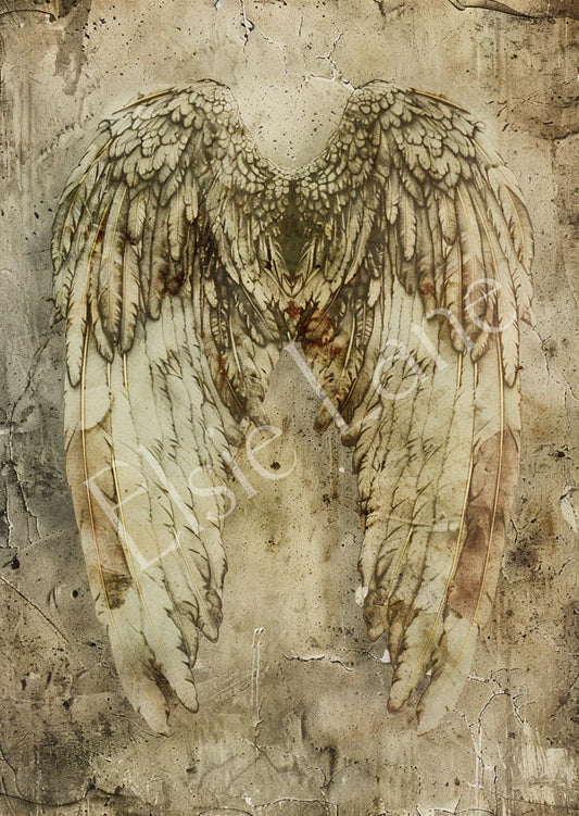 RUSTIC WINGS - ELSIE LANE DECOUPAGE TISSUE PAPERS - 18LB -21" BY 29