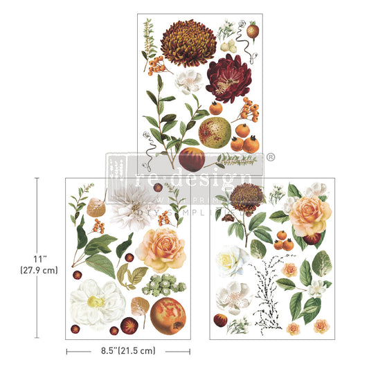 SEASONAL SPLENDER - Redesign Middy Transfer - 3 Sheets, 8.5" x 11"