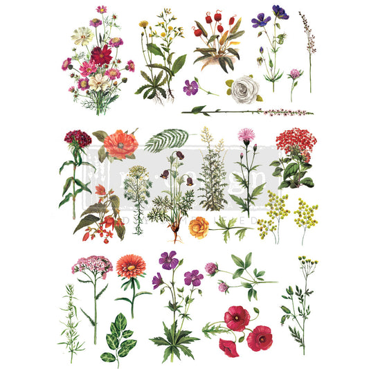 FLORAL COLLECTION - DECOR TRANSFER - REDESIGN WITH PRIMA