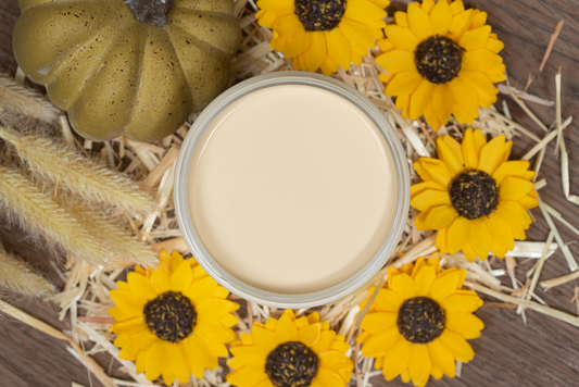 SUZANNE'S FALL COLORS - LIMITED EDITION - CASHMERE CHALK MINERAL PAINT