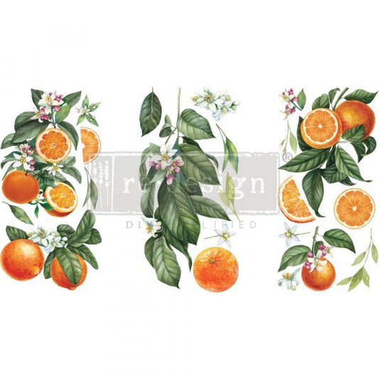 CITRUS SLICE - SMALL TRANSFER -3 SHEETS, 6″X12″ - REDESIGN DECOR TRANSFERS