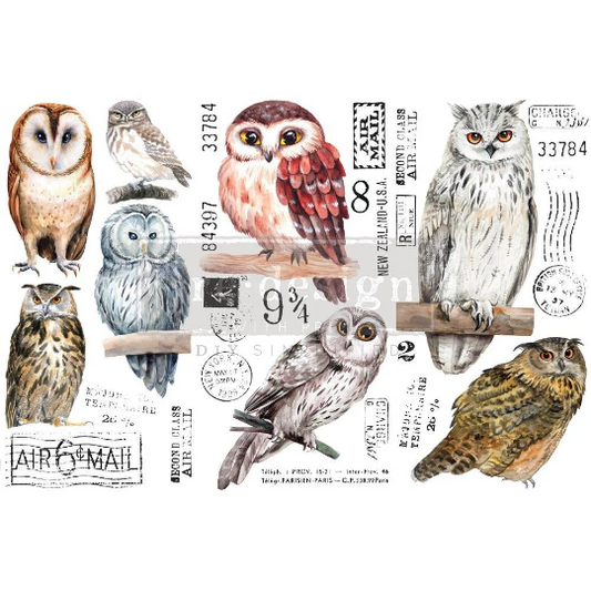 OWL - SMALL TRANSFER - REDESIGN WITH PRIMA -  3 Sheets - 6" by 12"