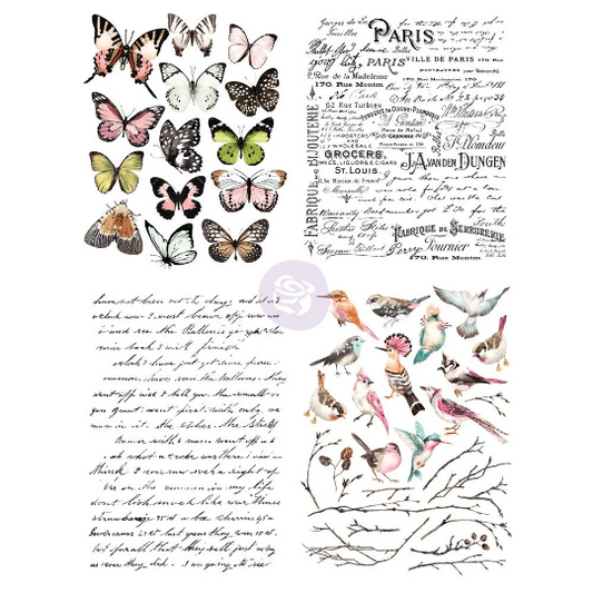 PARISIAN BUTTERFLIES - DECOR TRANSFER - REDESIGN WITH PRIMA