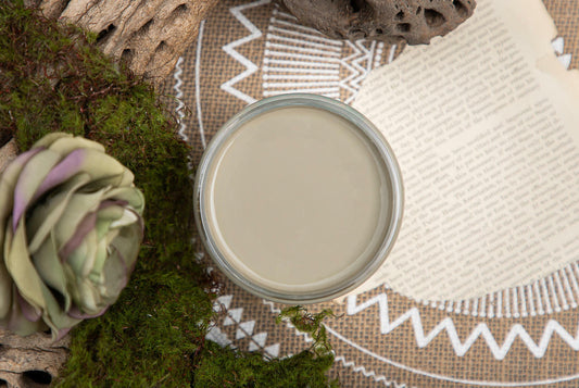 SPANISH MOSS - DIXIE BELLE CHALK MINERAL PAINT